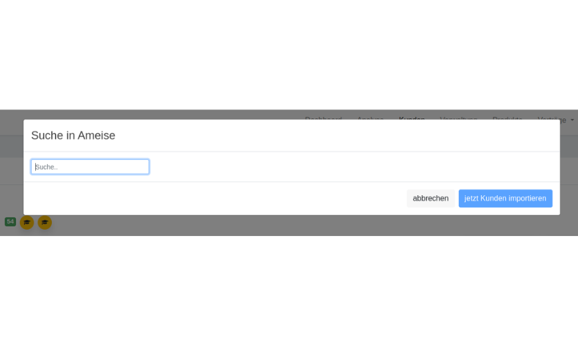 Suche in finvoice um Kundinnen und Kunden von Ameise zu importieren.